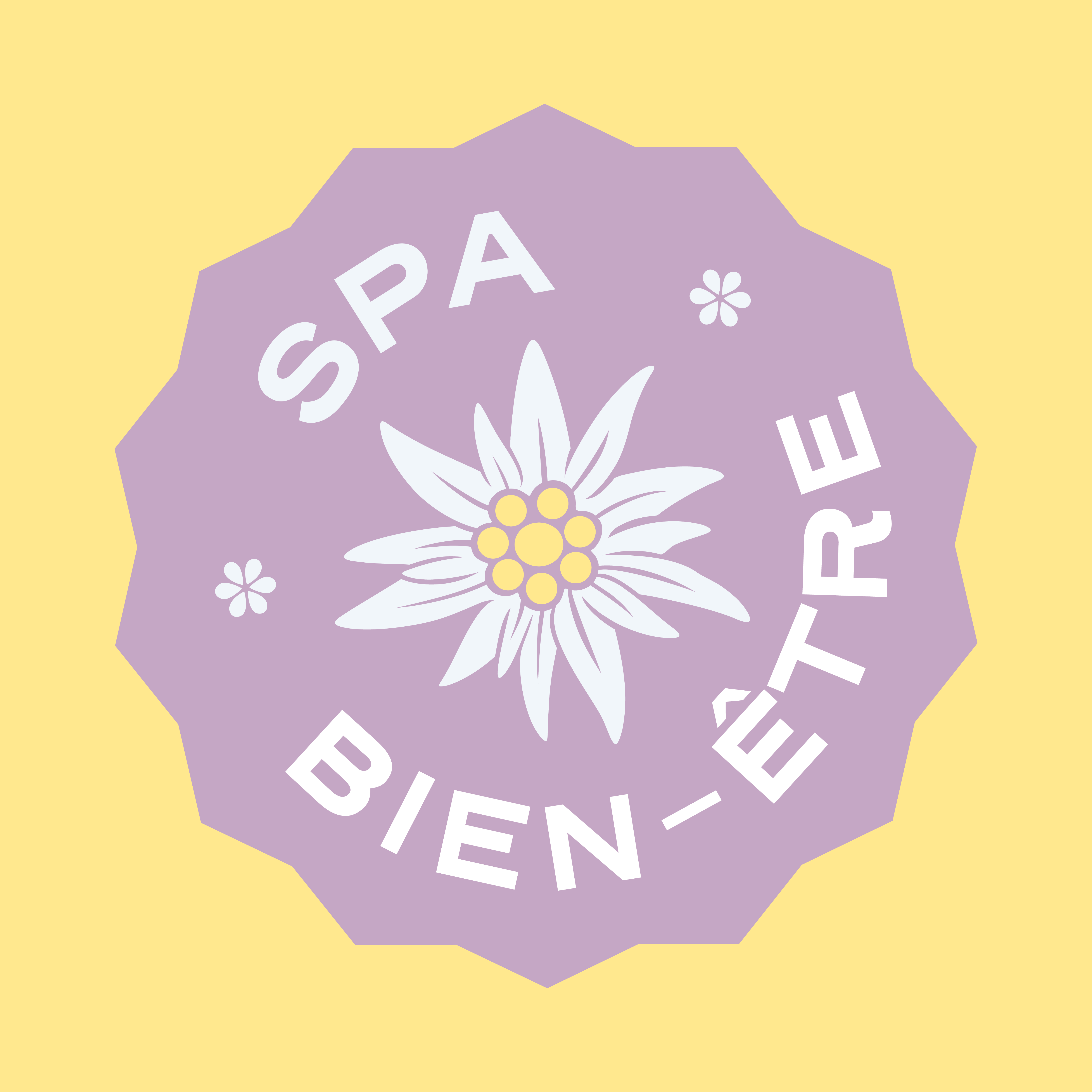 Spa Source des Alpes Sauna Hammam Massage La Toussuire Les Alpes